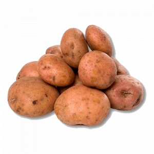 Papa Pastusa